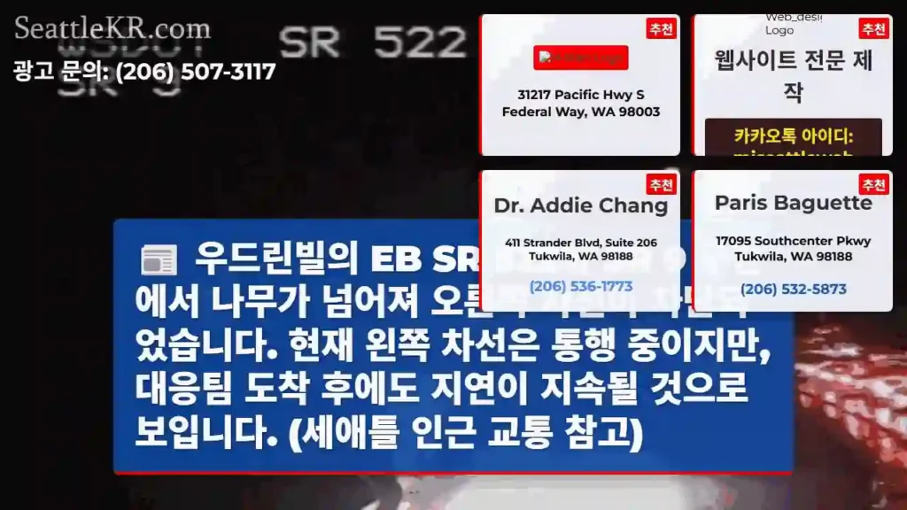 도로 왼쪽 차선 이용 권고