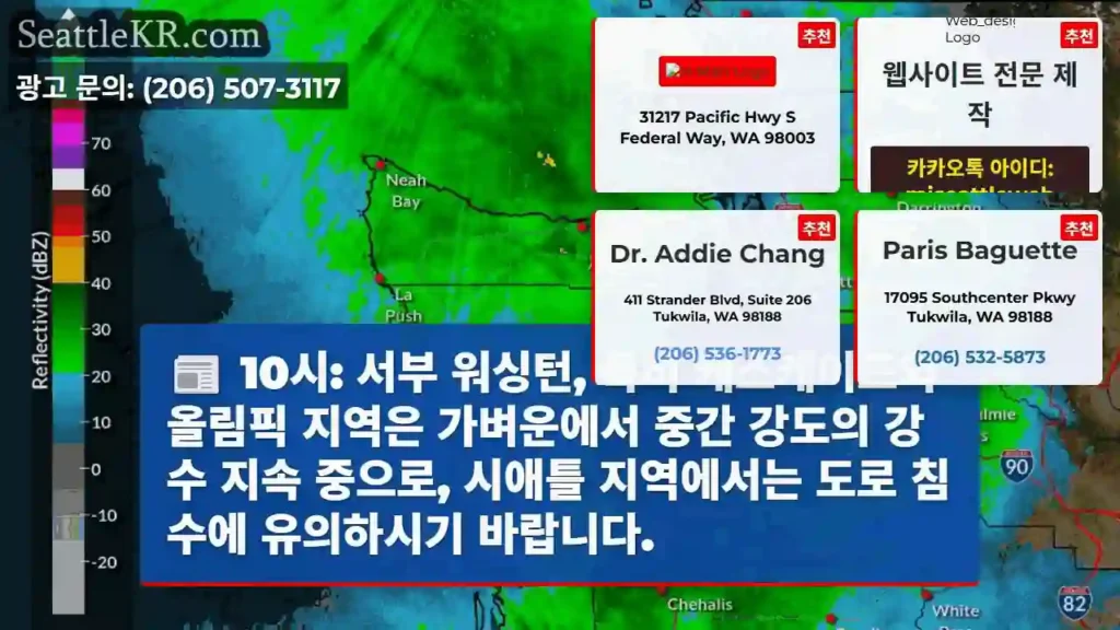 강수 주의: 도로 침수 위험