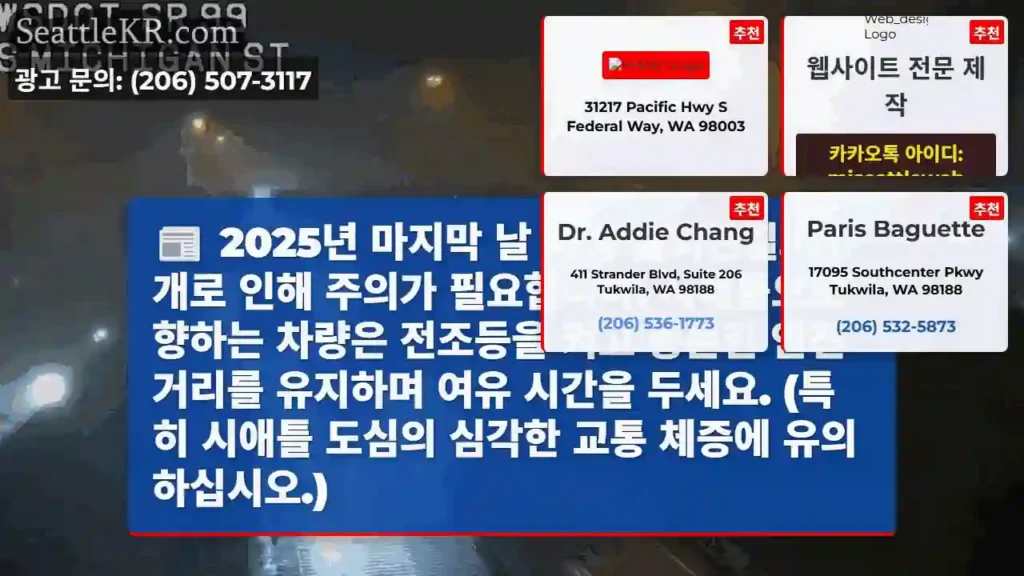 안개 주의! 전조등 켜고 조심