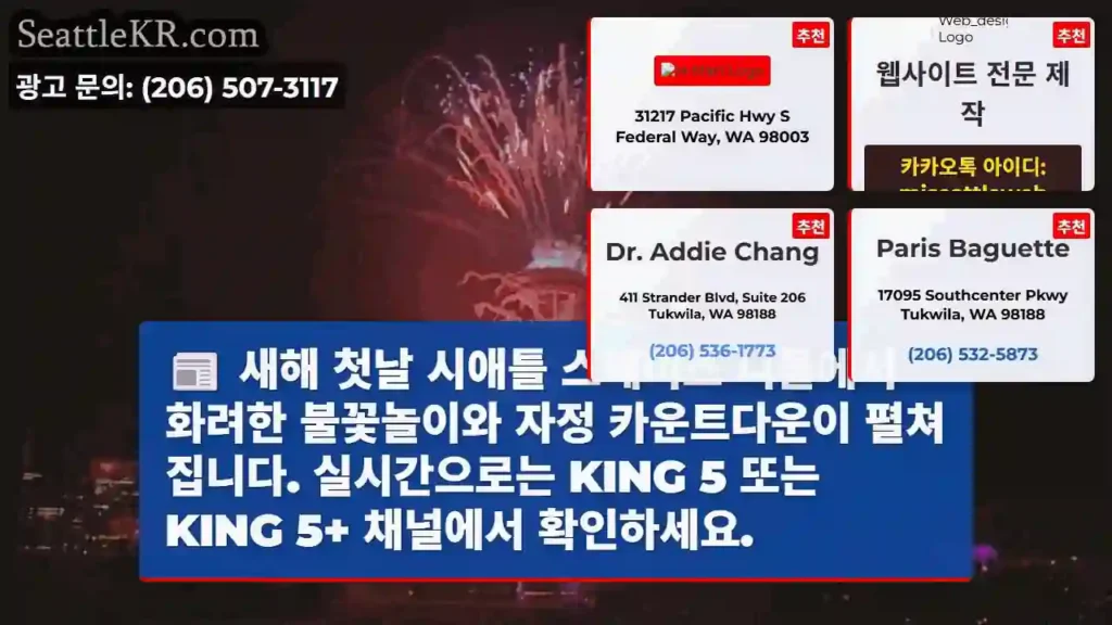 시애틀 불꽃놀이!