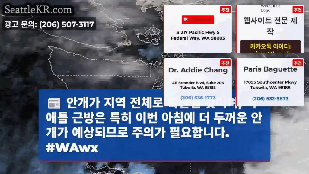 안개 주의! 시애틀 더 thick