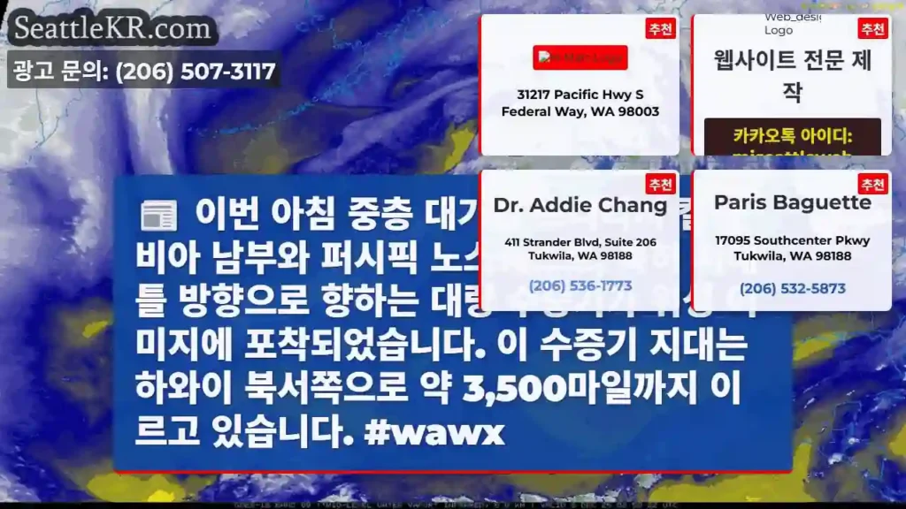 남서부 브리티시 컬럼비아 수증기 지대