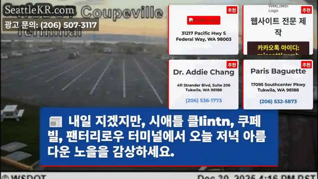 노을 감상, 지금!