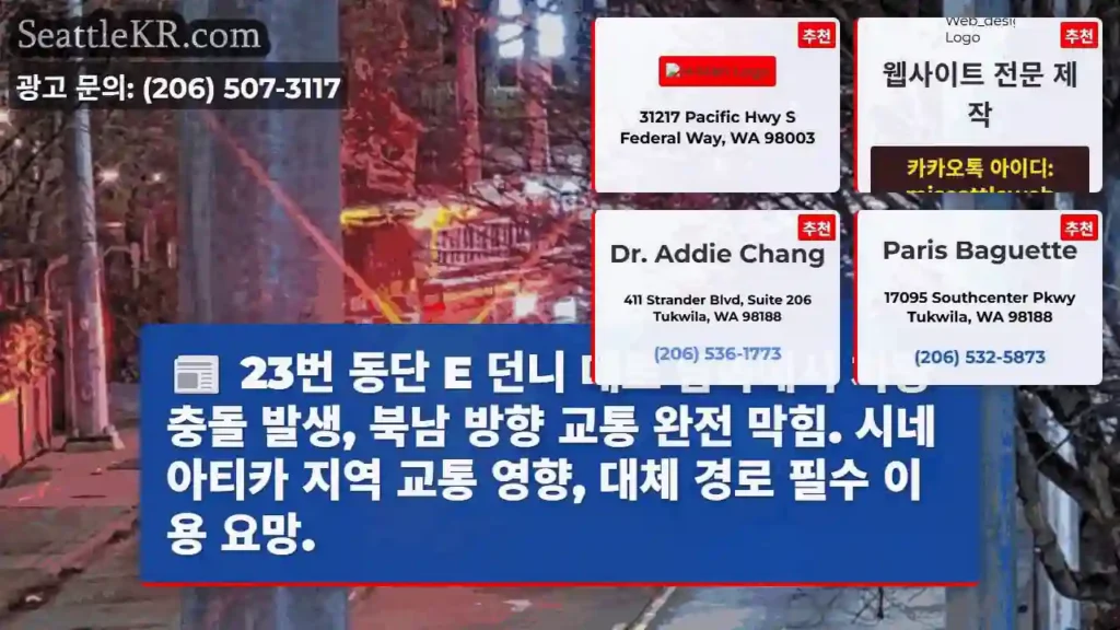 충돌! E동 던니대로 남북, 시네아티카 정체