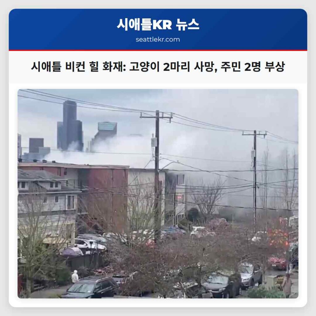 시애틀 비컨 힐 화재: 고양이 2마리 사망, 주민 2명 부상