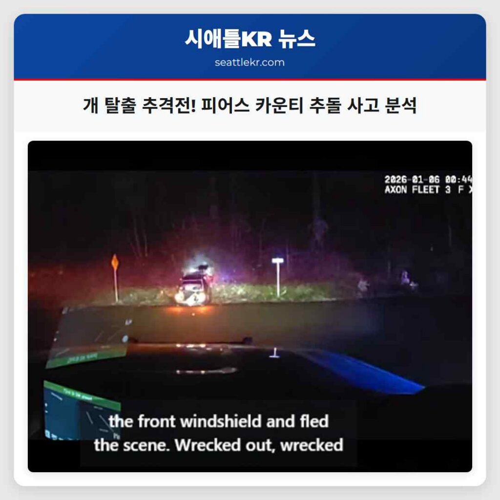개 탈출 추격전! 피어스 카운티 추돌 사고 분석