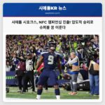 시애틀 시호크스 압도적 승리로 NFC 챔피언십 진출 확정