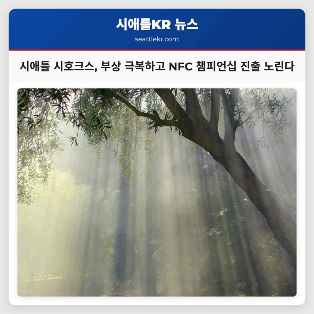 시애틀 최신뉴스 2 시애틀 시호크스, 부상 극복하고 NFC 챔피언십 진출 노린다