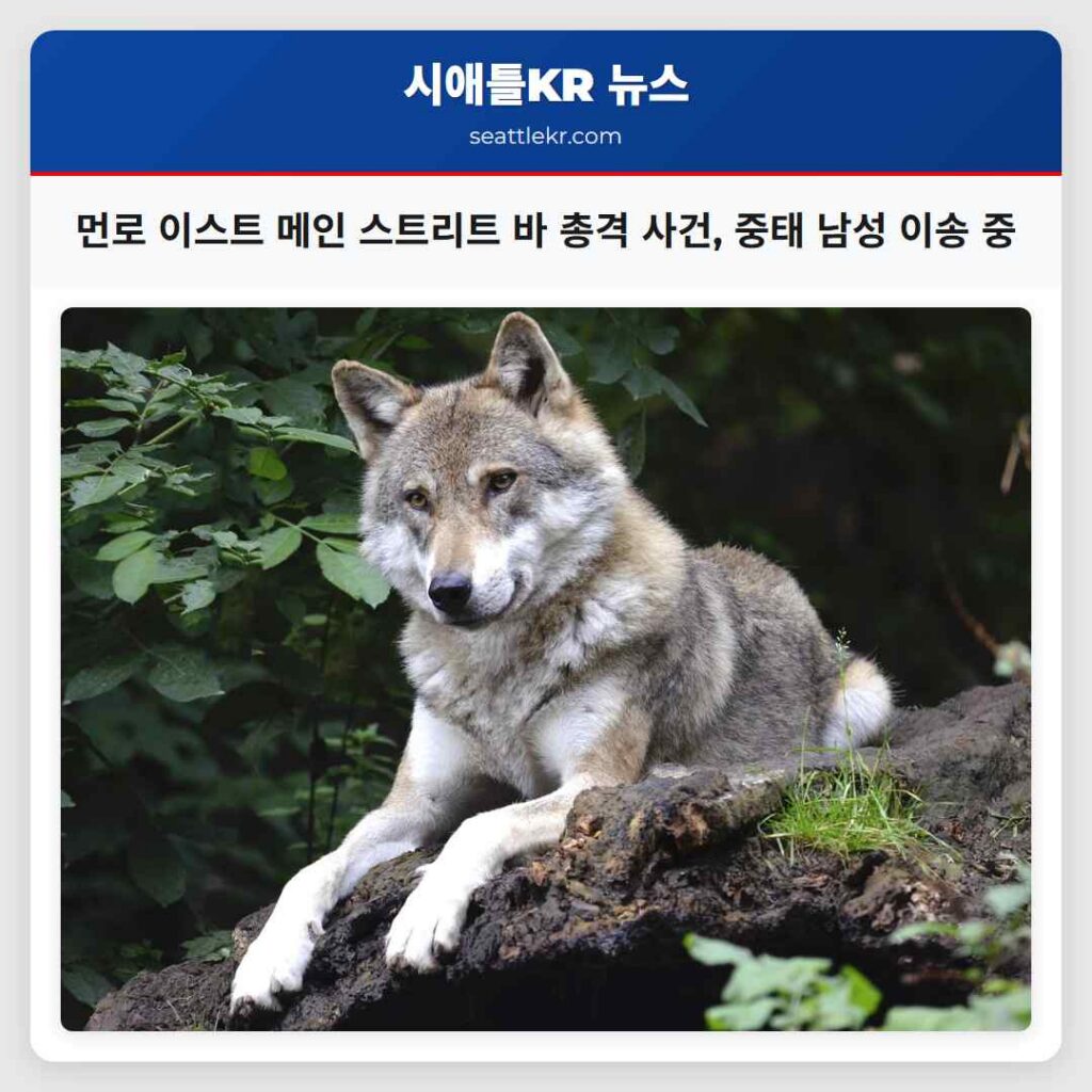 먼로 이스트 메인 스트리트 바 총격 사건, 중태 남성 이송 중