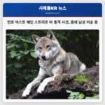 먼로 이스트 메인 스트리트 바 인근 총격 사건 발생 31세 남성 중태 이송