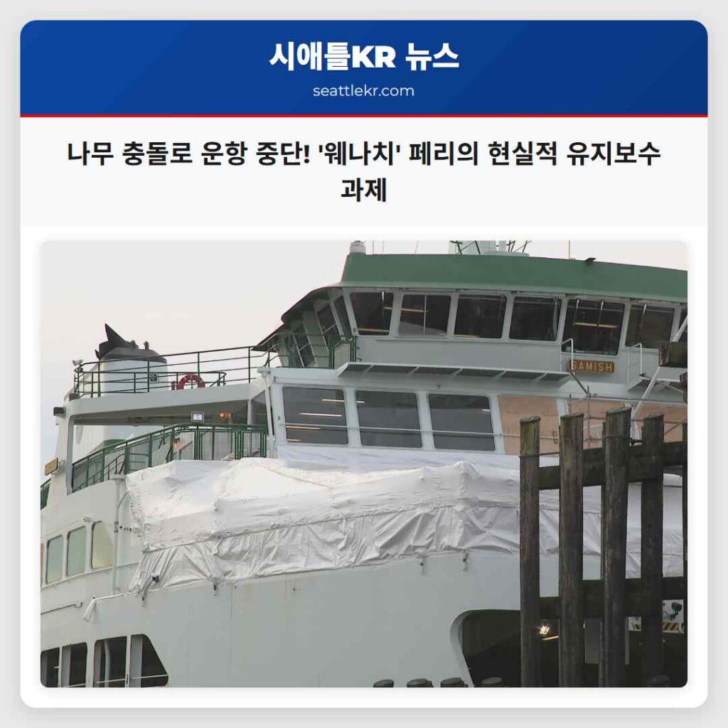 시애틀 최신뉴스 6 나무 충돌로 운항 중단! '웨나치' 페리의 현실적 유지보수 과제