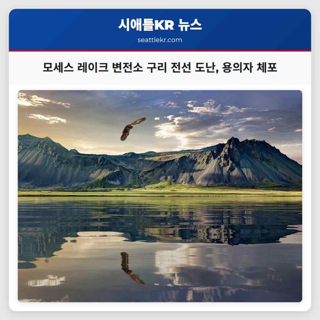 모세스 레이크 변전소 구리 전선 도난, 용의자 체포