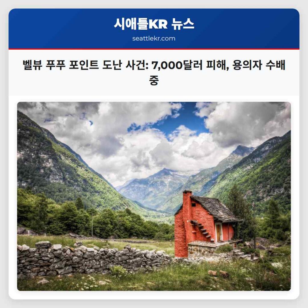 벨뷰 푸푸 포인트 도난 사건: 7,000달러 피해, 용의자 수배 중