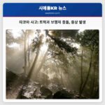 타코마 피스 카운티 7호선 교통사고 보행자 중상 발생