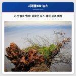 제목 미확인된 최신 뉴스