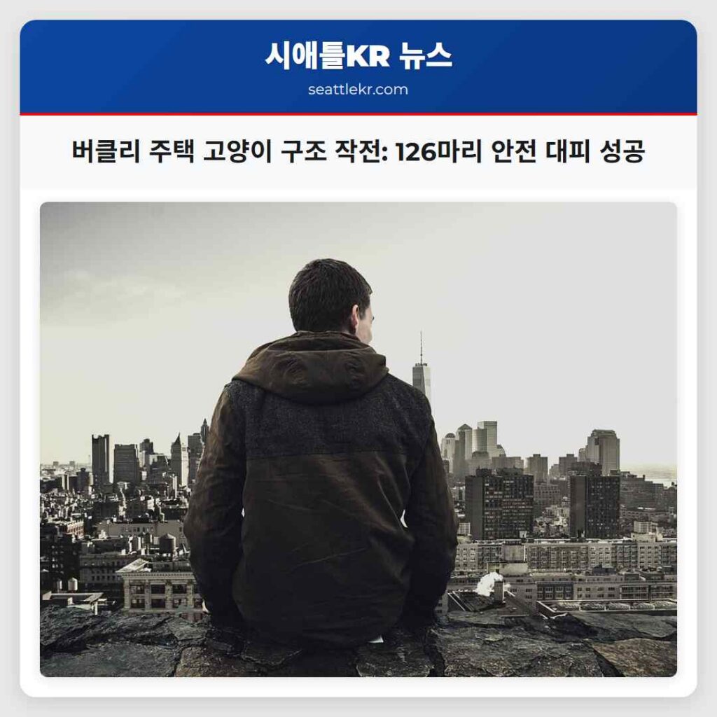 버클리 주택 고양이 구조 작전: 126마리 안전 대피 성공