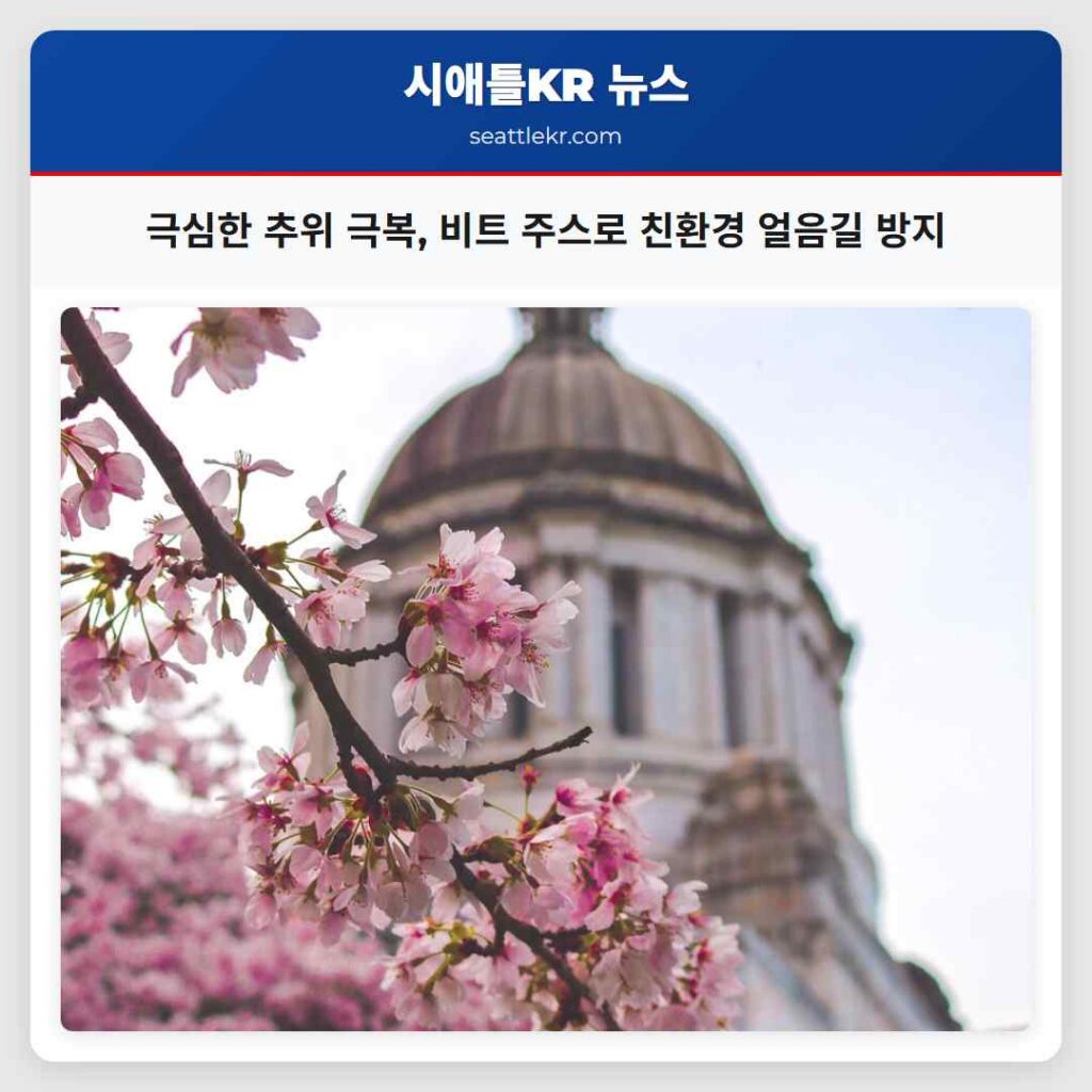 극심한 추위 극복, 비트 주스로 친환경 얼음길 방지