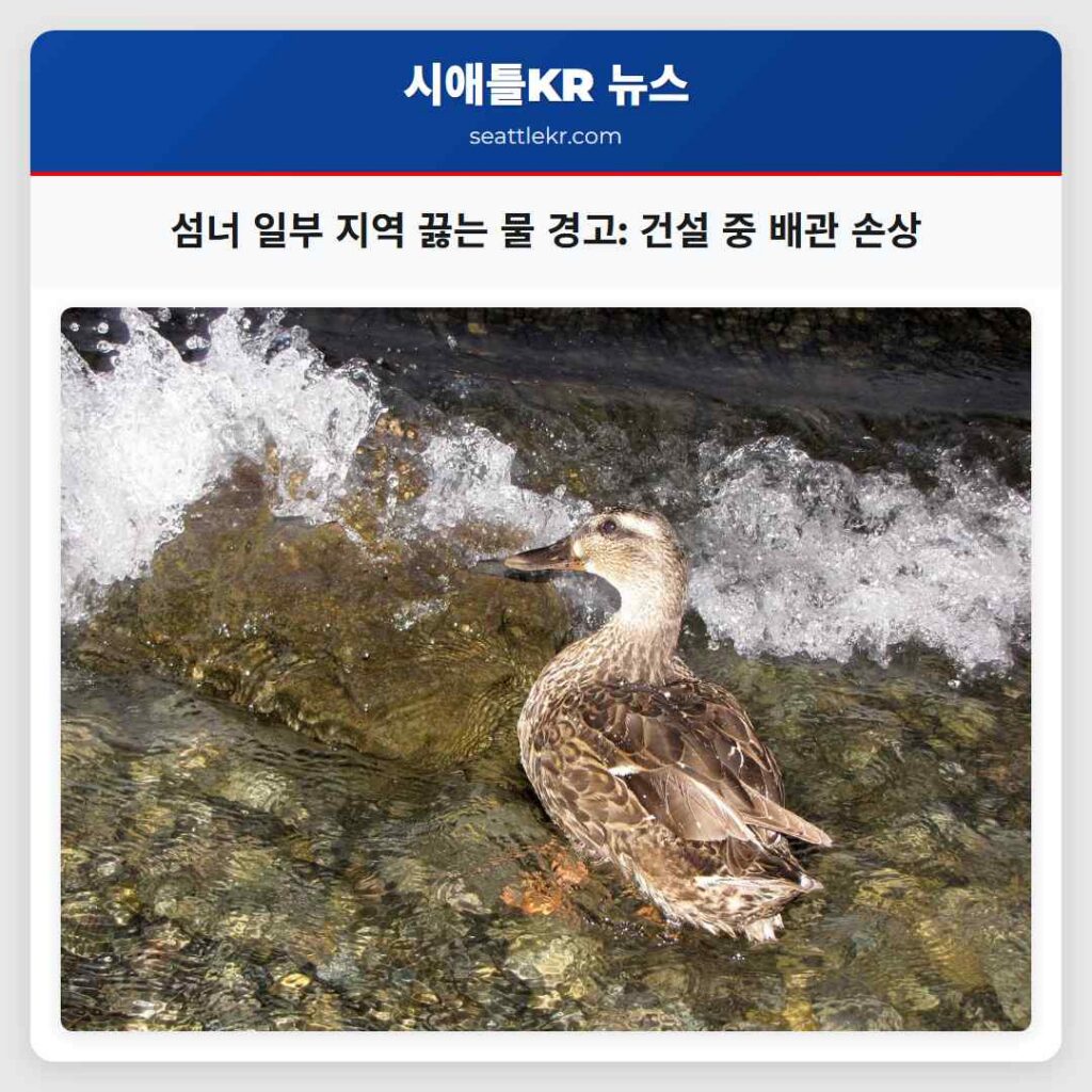섬너 일부 지역 끓는 물 경고: 건설 중 배관 손상