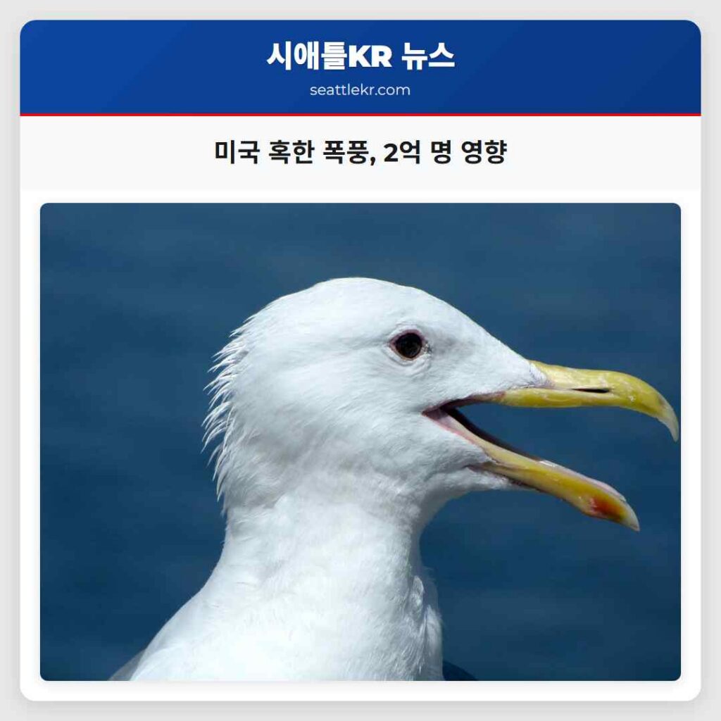미국 혹한 폭풍, 2억 명 영향