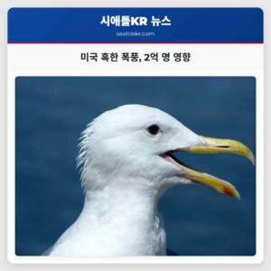주말 미국 전역 혹한 폭풍의 폭설과 얼음