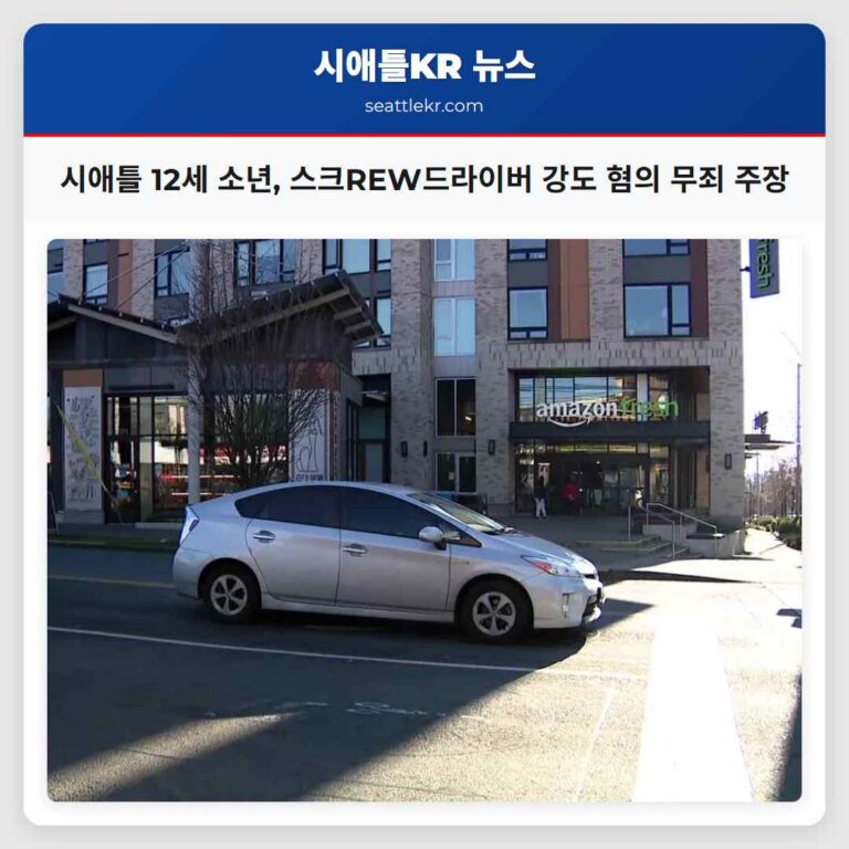 시애틀 센트럴 디스트릭트 12세 소년 스크REW드라이버 공격 및 강도 혐의 무죄 주장