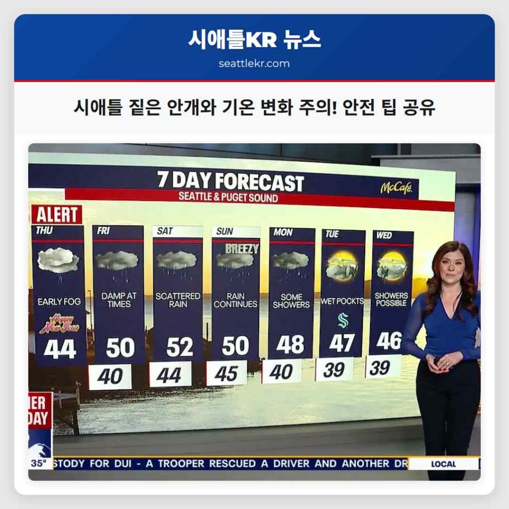 시애틀 짙은 안개와 기온 변화 주의! 안전 팁 공유