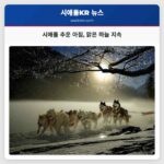 시애틀 날씨 추운 아침과 맑은 하늘 지속