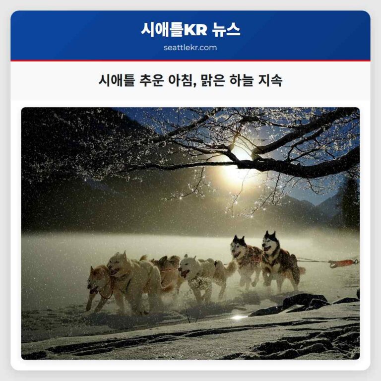 시애틀 날씨 추운 아침과 맑은 하늘 지속