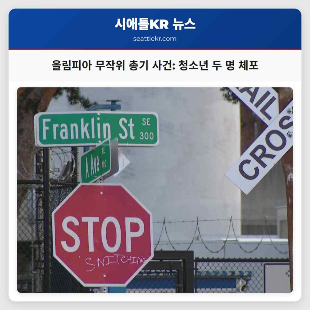 올림피아 무작위 총기 사건: 청소년 두 명 체포