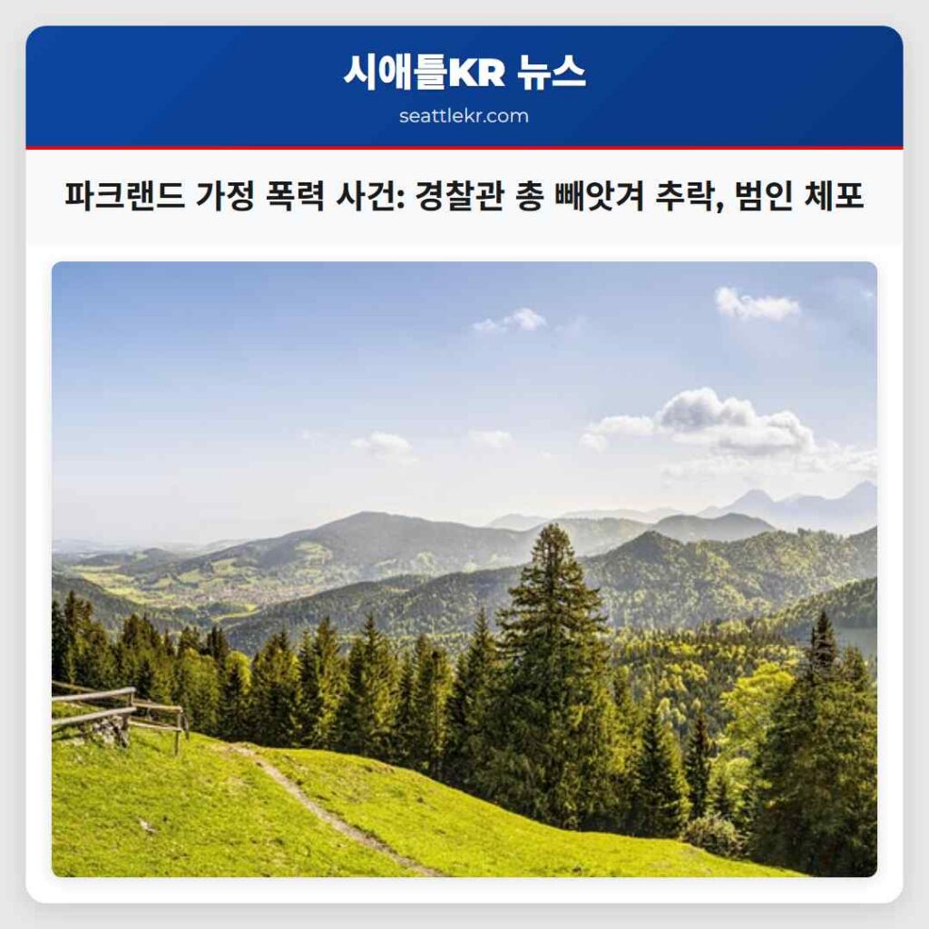 파크랜드 가정 폭력 사건: 경찰관 총 빼앗겨 추락, 범인 체포