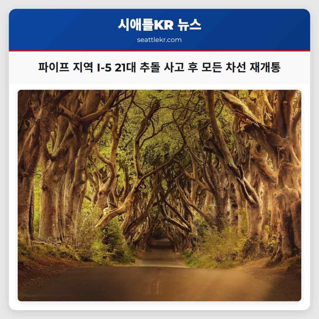 파이프 지역 I-5 21대 추돌 사고 후 모든 차선 재개통
