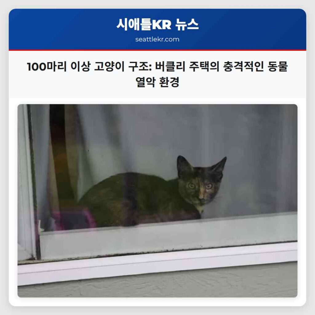 100마리 이상 고양이 구조: 버클리 주택의 충격적인 동물 열악 환경