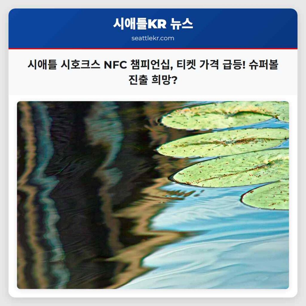 시애틀 시호크스 NFC 챔피언십, 티켓 가격 급등! 슈퍼볼 진출 희망?
