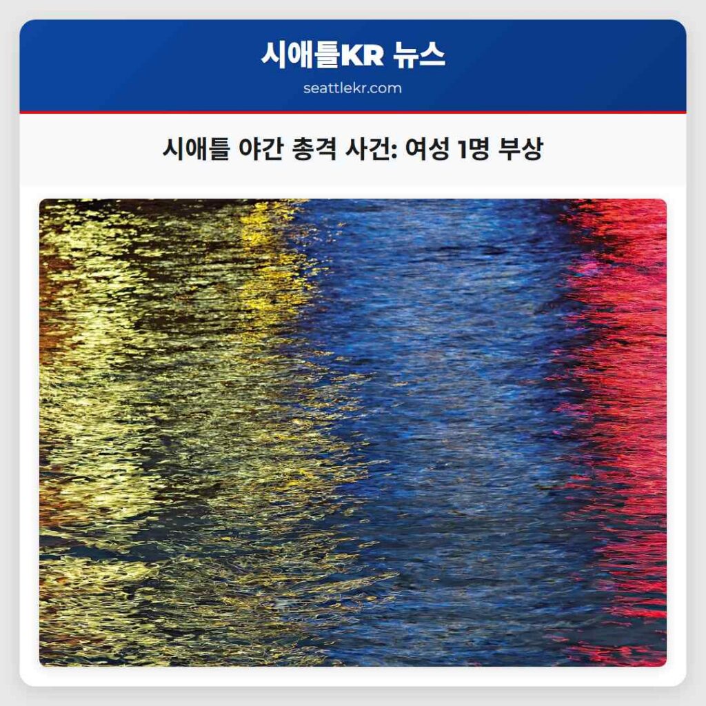 시애틀 야간 총격 사건: 여성 1명 부상