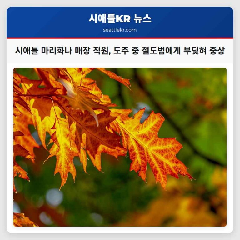 시애틀 마리화나 매장 직원 도주 중 절도범에게 치어 중환자실 이송