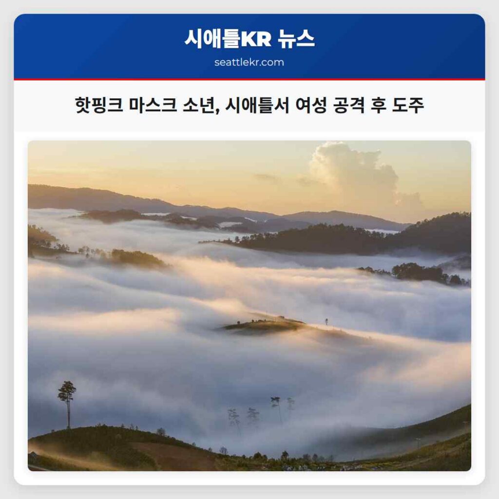 핫핑크 마스크 소년, 시애틀서 여성 공격 후 도주