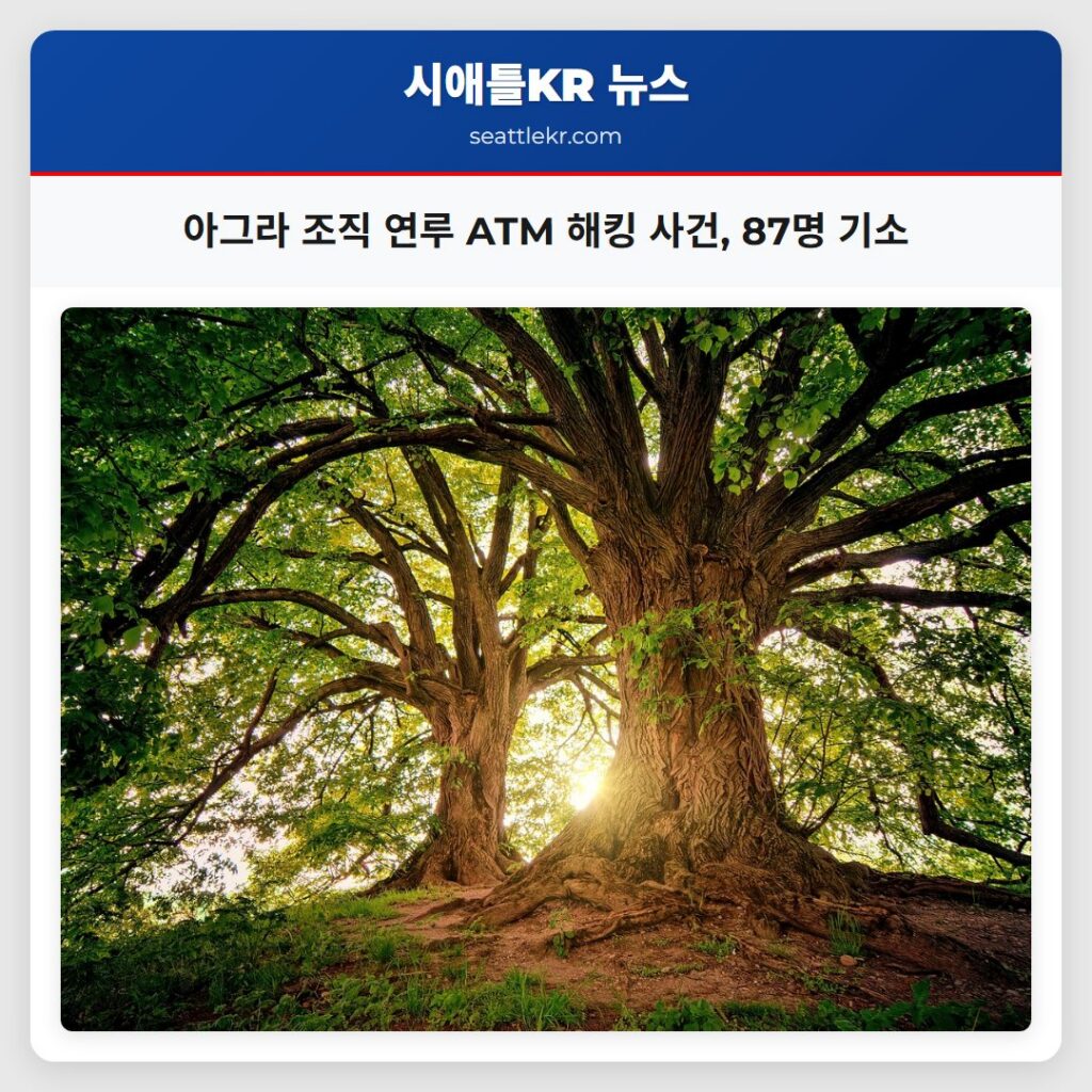 아그라 조직 연루 ATM 해킹 사건, 87명 기소