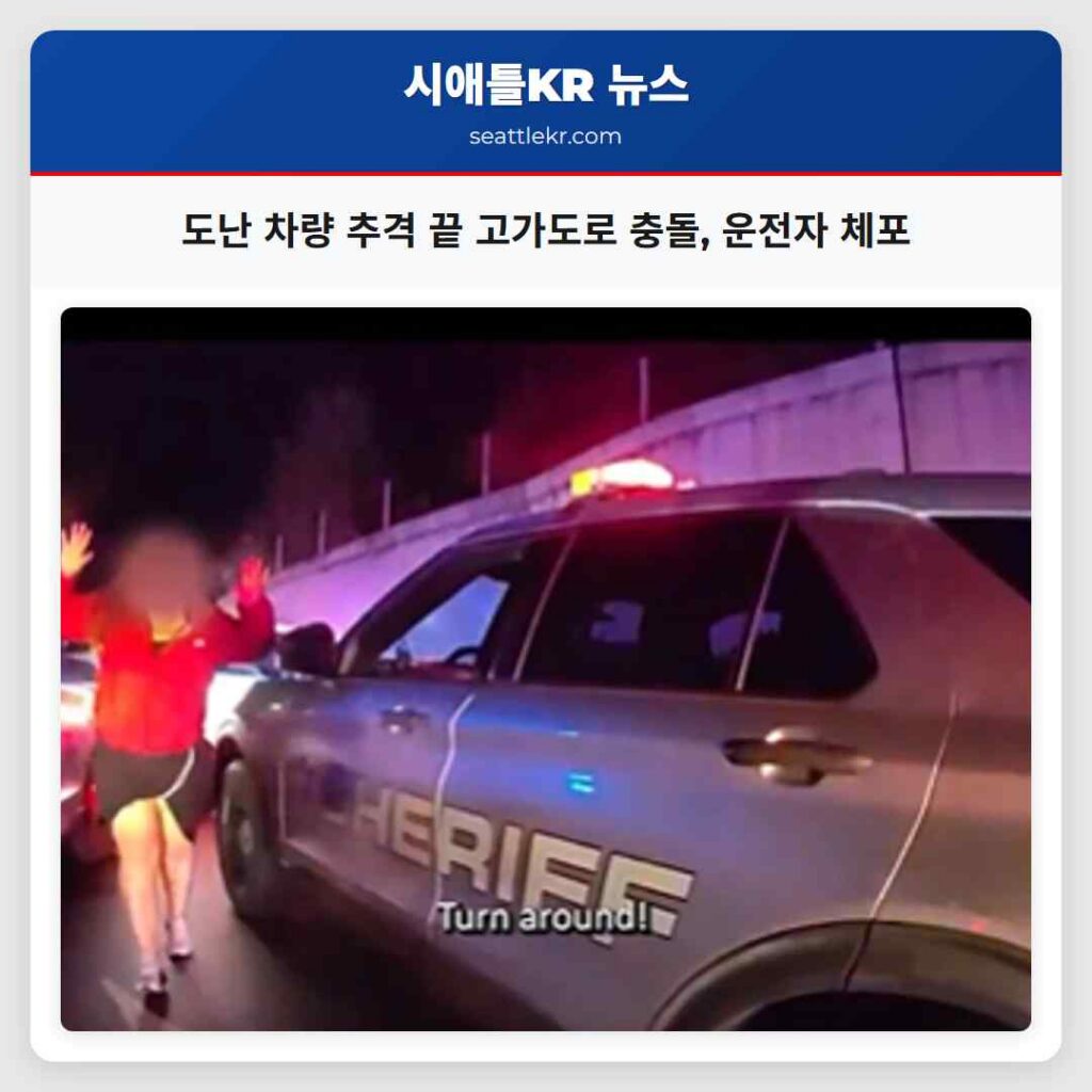 도난 차량 추격 끝 고가도로 충돌, 운전자 체포