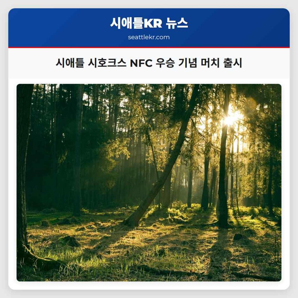 시애틀 시호크스 NFC 우승 기념 머치 출시