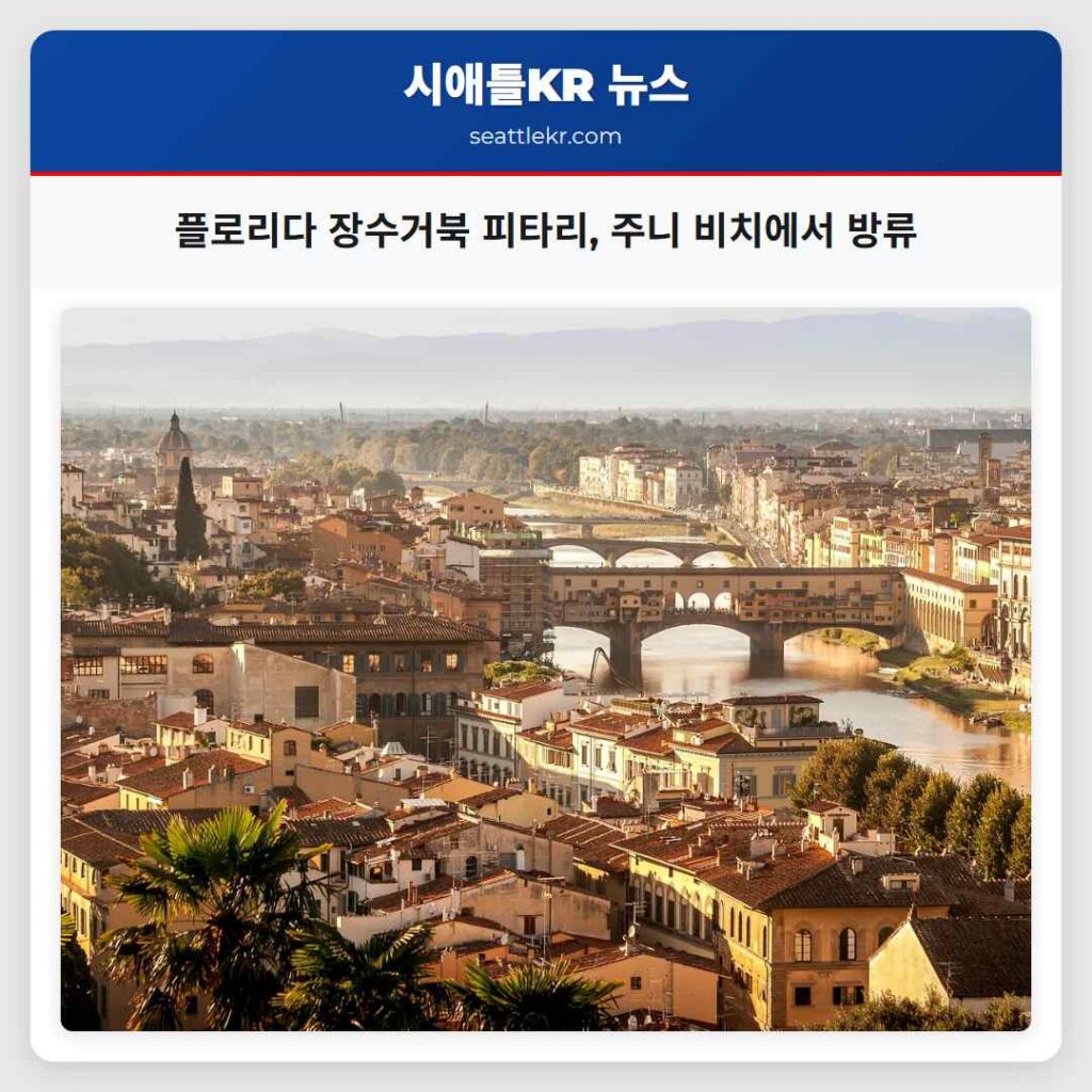 플로리다 장수거북 피타리, 주니 비치에서 방류