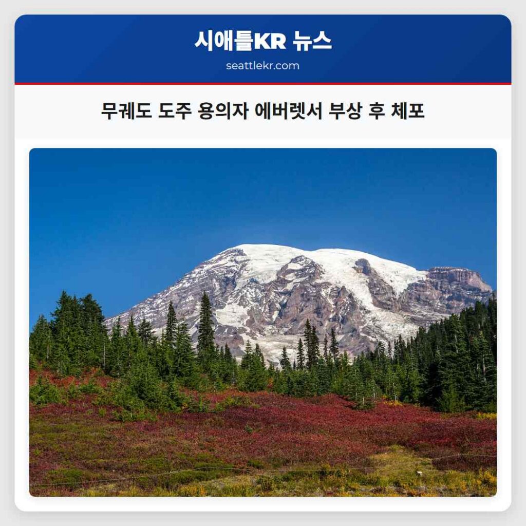 무궤도 도주 용의자 에버렛서 부상 후 체포