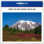 무궤도 도주 용의자 머킬티오서 에버렛으로 이송 중 부상 발견