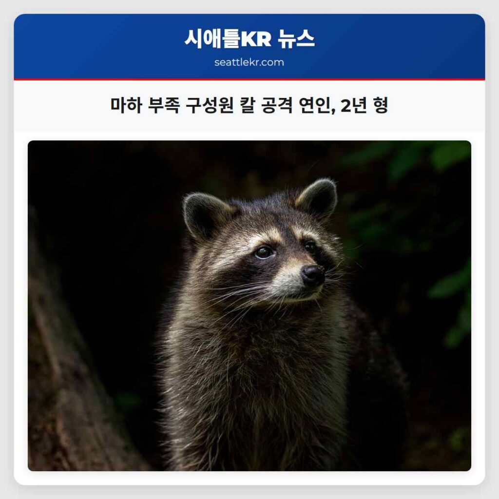 시애틀 최신뉴스 1 마하 부족 구성원 칼 공격 연인, 2년 형