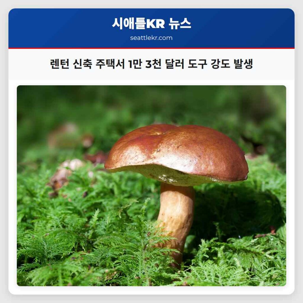 렌턴 신축 주택서 1만 3천 달러 도구 강도 발생