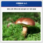 렌턴 신축 주택서 1만 3천 달러 상당 도구 강도 발생