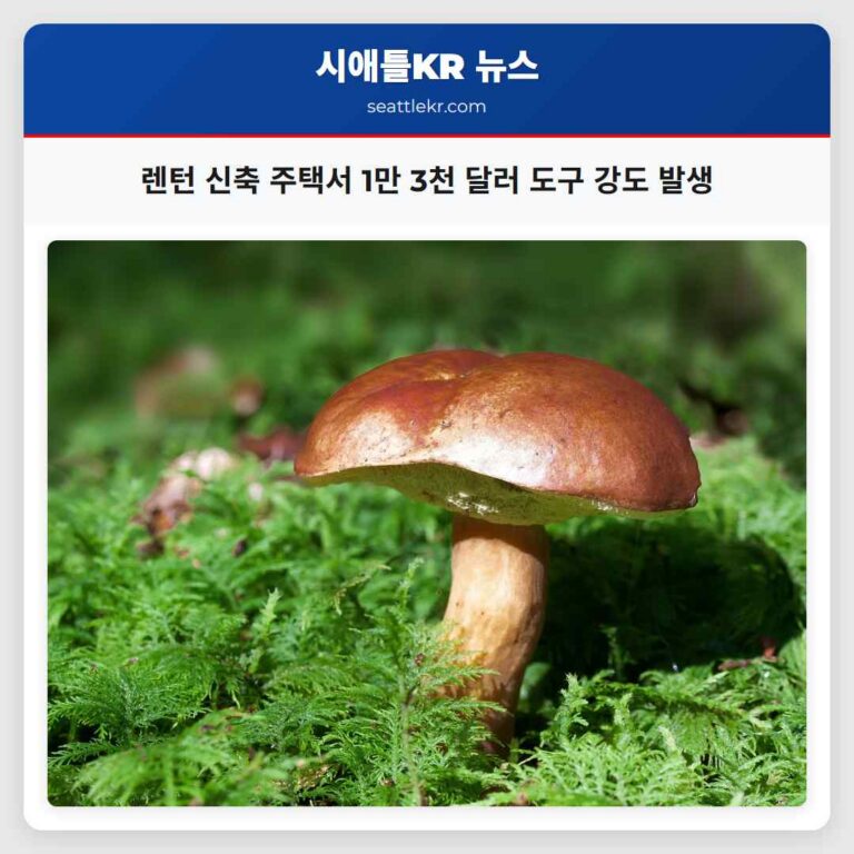 렌턴 신축 주택서 1만 3천 달러 상당 도구 강도 발생