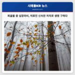 피클볼 중 심장마비 환자 남 카운티 의료진의 신속한 구조로 생명 구해