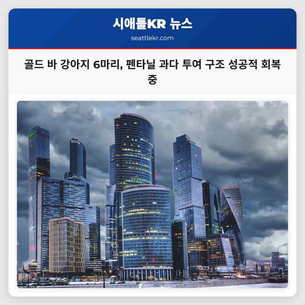 Home 1 골드 바 강아지 6마리, 펜타닐 과다 투여 구조 성공적 회복 중