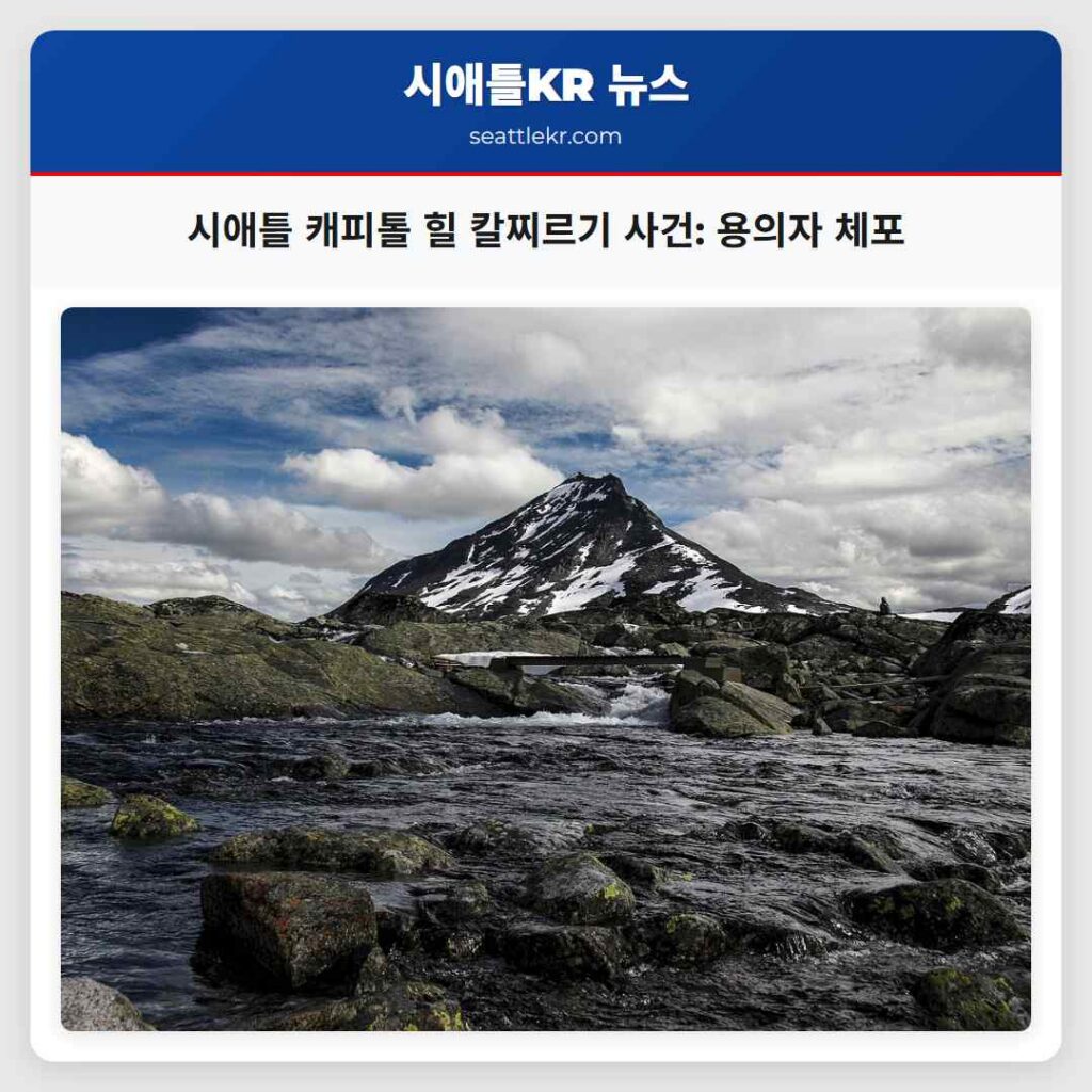 시애틀 캐피톨 힐 칼찌르기 사건: 용의자 체포