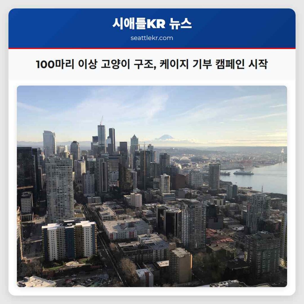 100마리 이상 고양이 구조, 케이지 기부 캠페인 시작